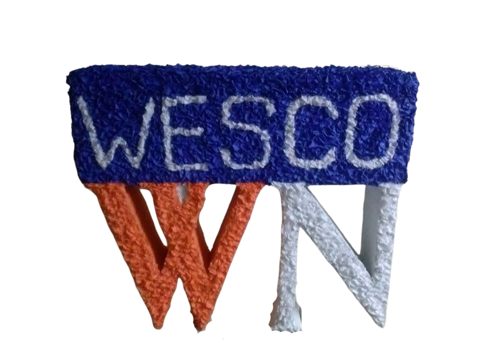 Custom Logo Piñata